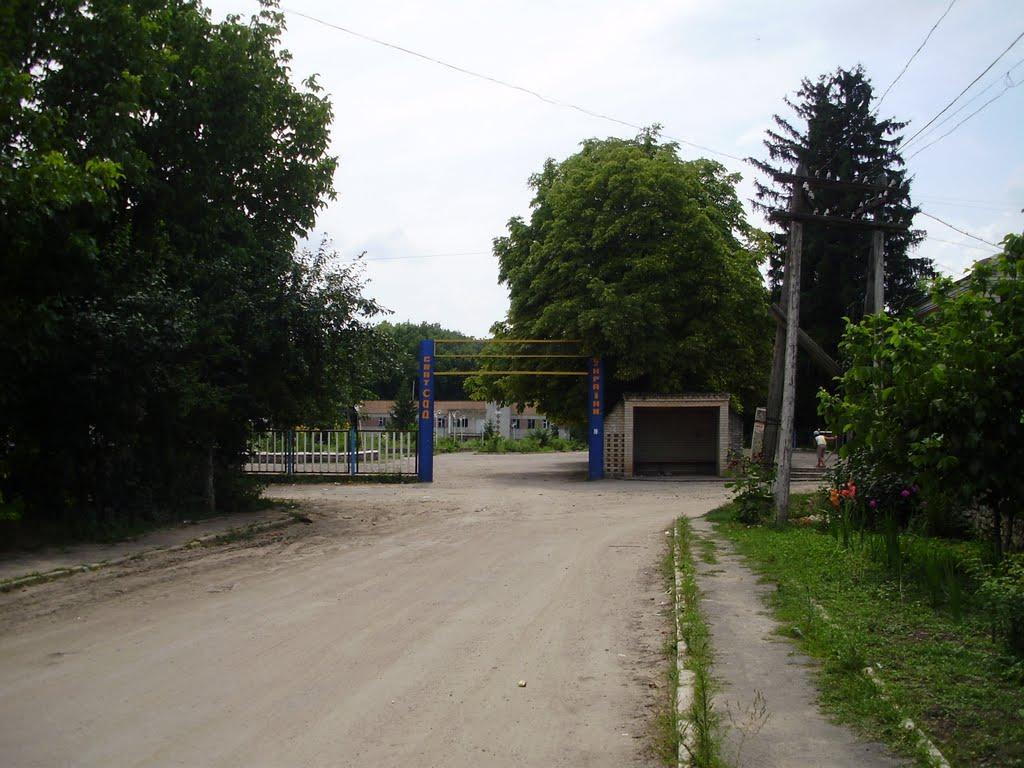 Дмитрашківка з panoramio.com - Дмитрашківка