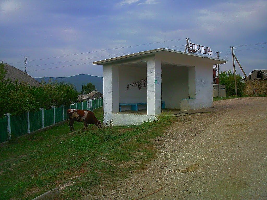 Нагірне з panoramio.com - Нагорное