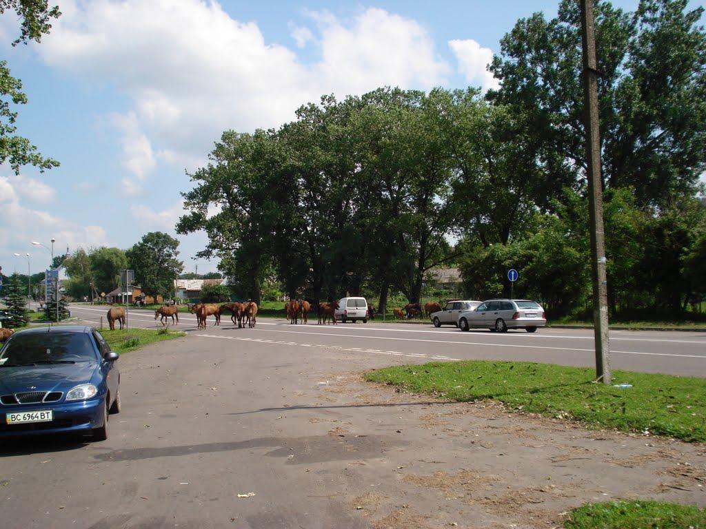 Дідилів з panoramio.com - Диделов