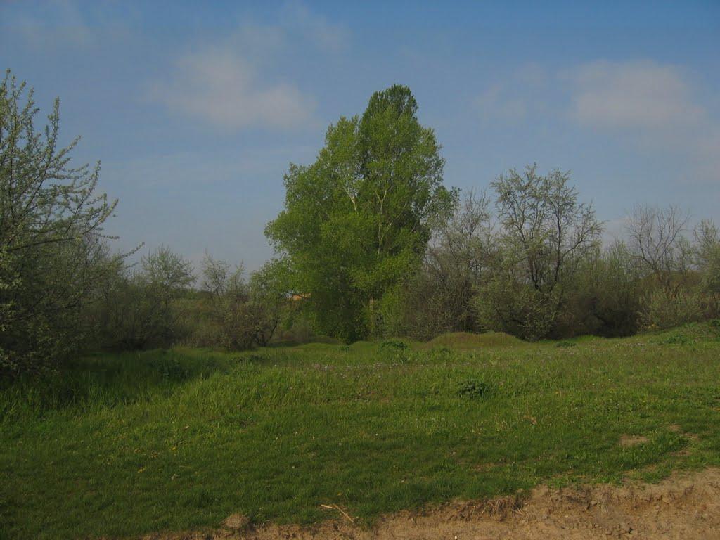 Прибережне з panoramio.com - Прибережне