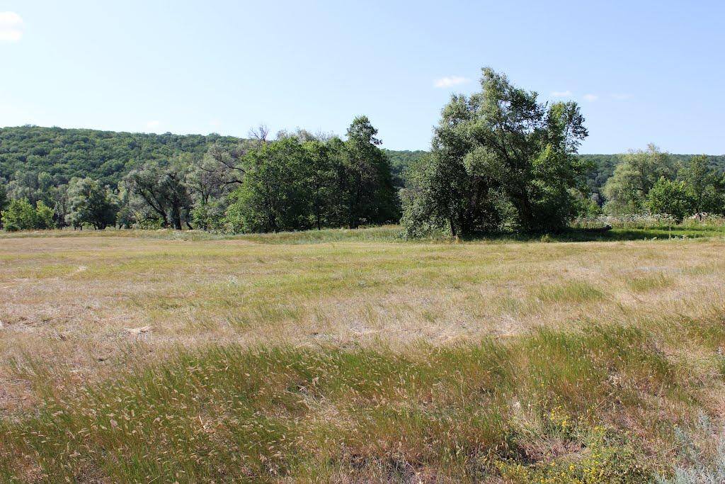 Мохнач з panoramio.com - Мохнач