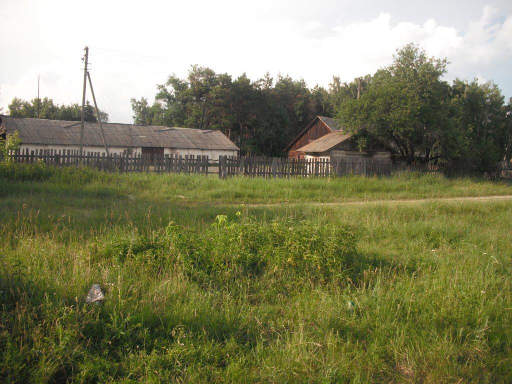 Любитове з panoramio.com - Любитово