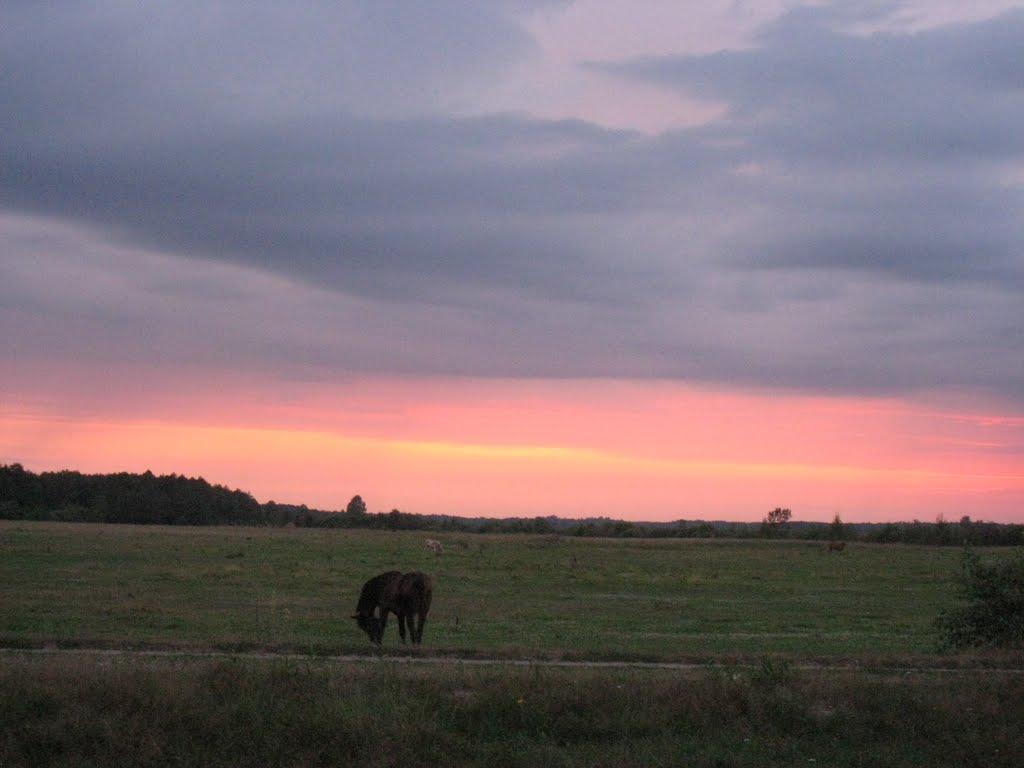 Залухів з panoramio.com - Залухів