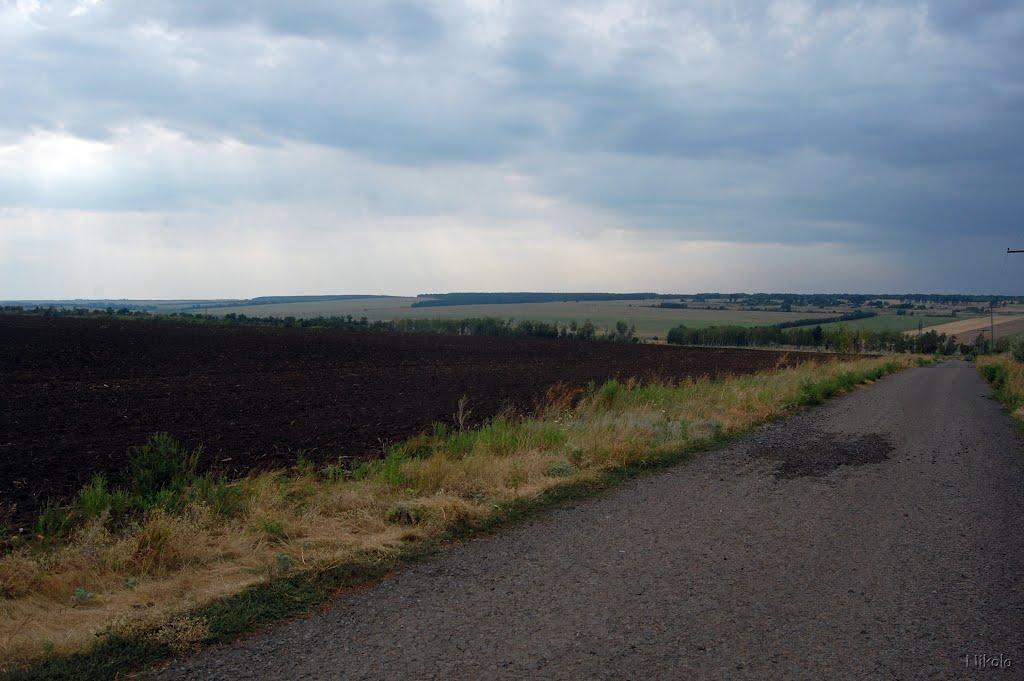 Суровцівка з panoramio.com - Surovtsivka