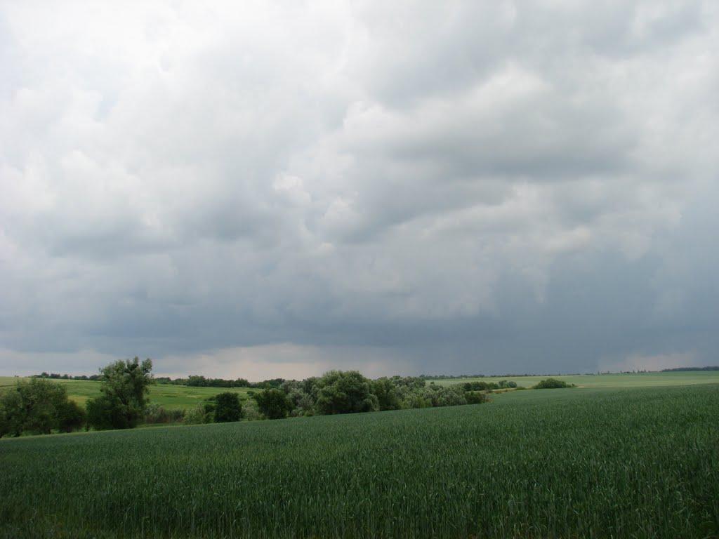 Дмитренки з panoramio.com - Дмитренки