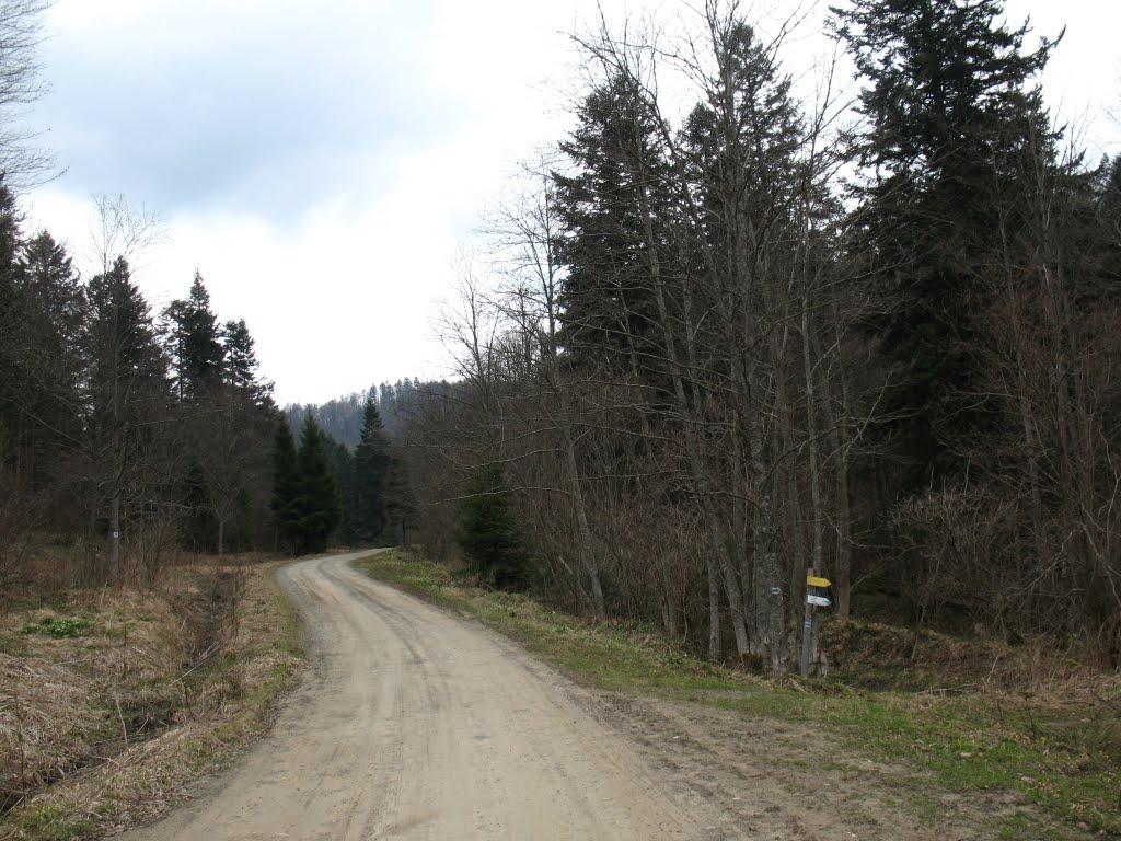 Боберка з panoramio.com - Боберка