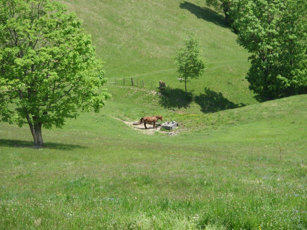Фальків з panoramio.com (ч.2) - Фальків