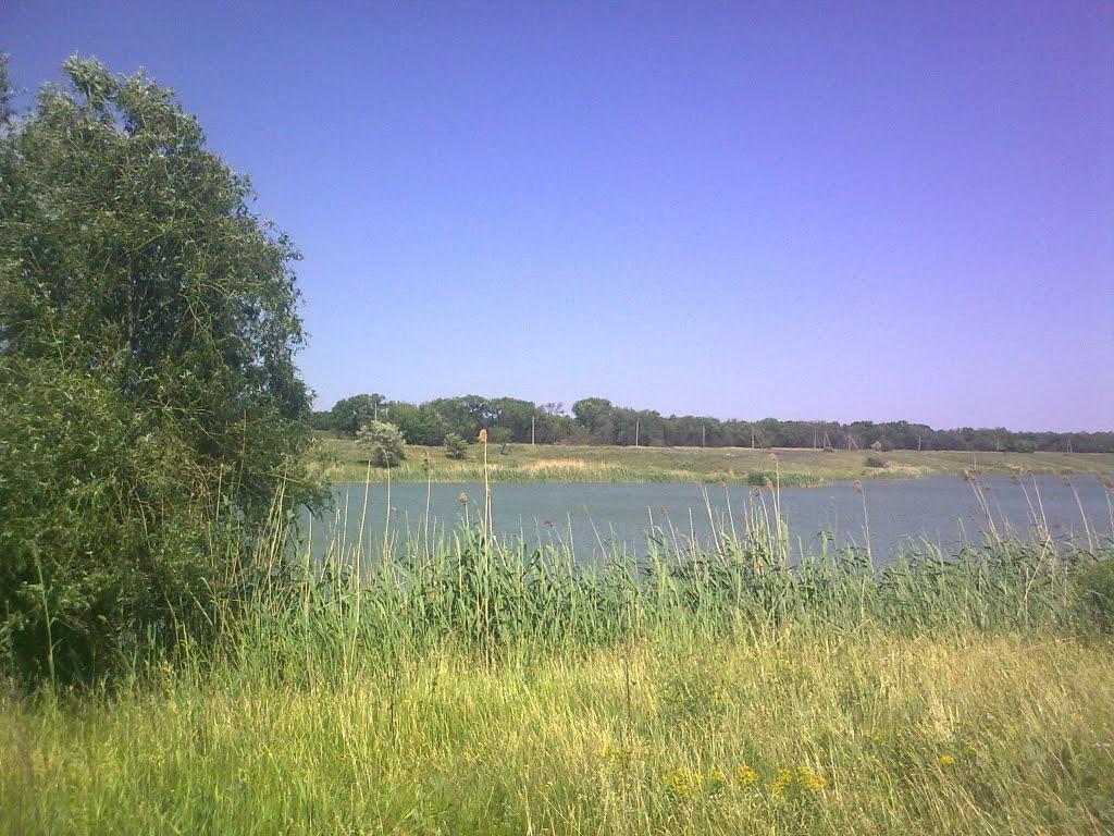 Раївка з panoramio.com - Раевка