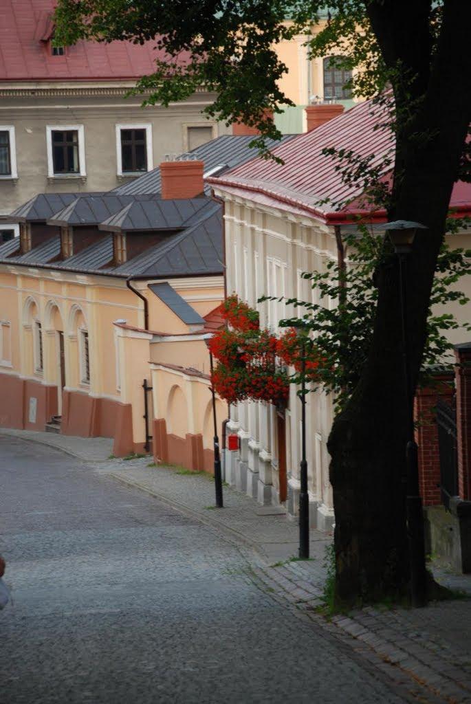 Нижанковичі з panoramio.com (ч.2) - Nyzhankovychi