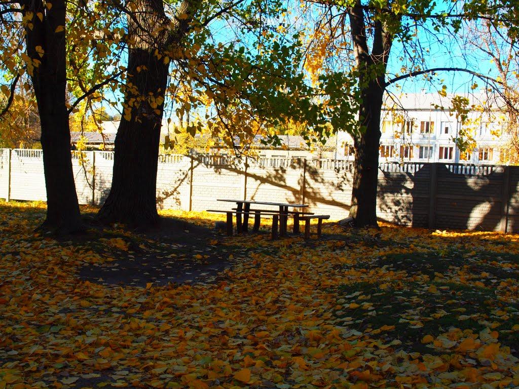 Черкаське з panoramio.com - Черкаське