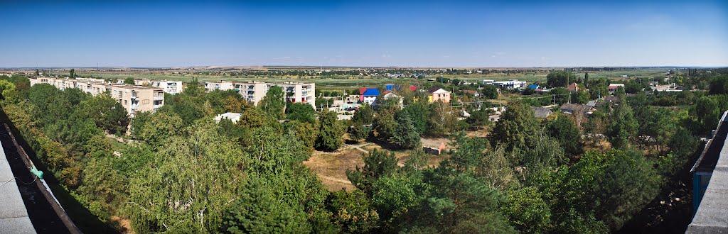 Павлівка з panoramio.com - Павлівка