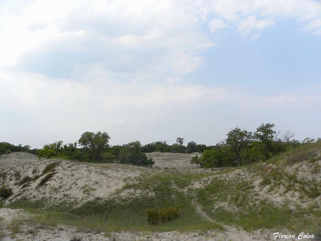 Вилкове з panoramio.com (ч.2) - Вилкове