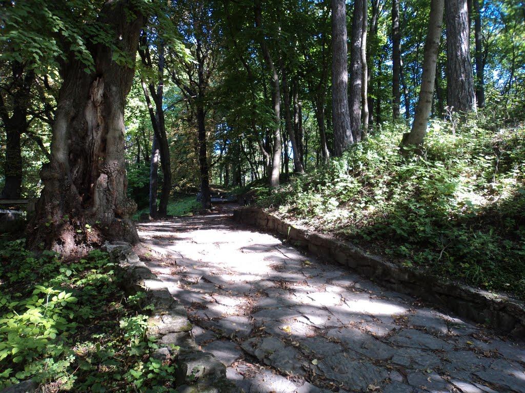 Теребовля з panoramio.com - Теребовля