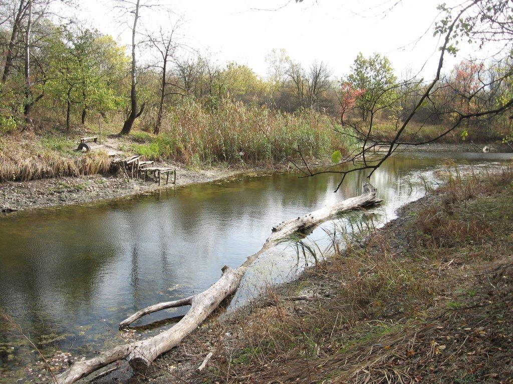 Нижнє з panoramio.com - Нижнє