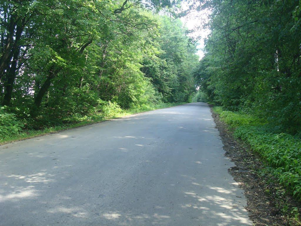 Давидківці з panoramio.com - Давидківці