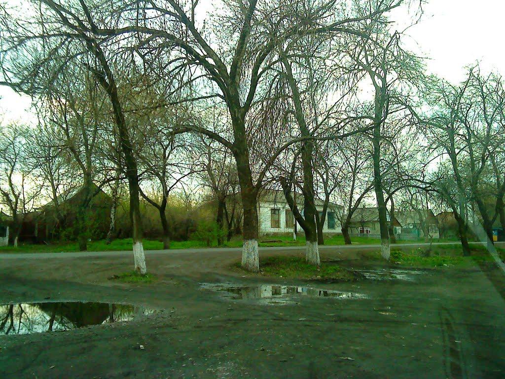 Чорнухине з panoramio.com - Чернухино