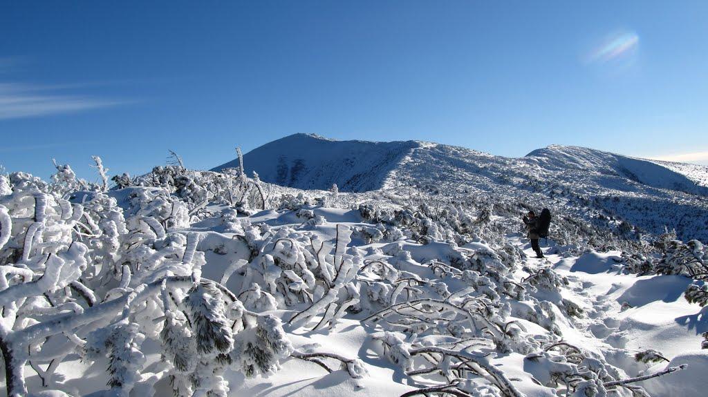 Осмолода з panoramio.com (ч.2) - Осмолода