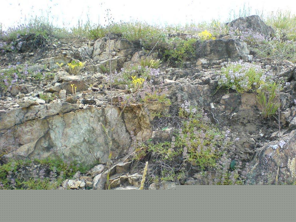 Обухів з panoramio.com - Обухів