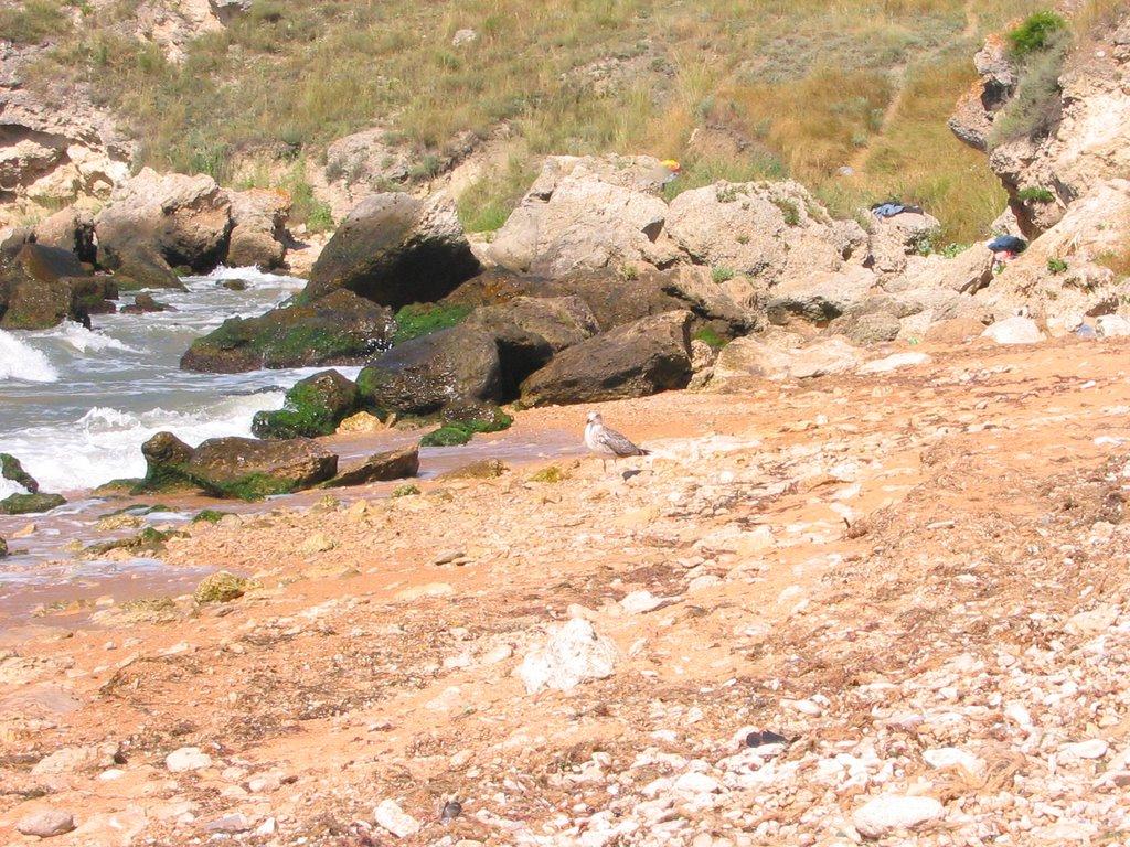 Семенівка з panoramio.com - Семенівка