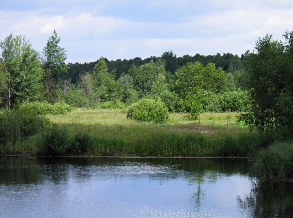 Маневичі з panoramio.com - Маневичи