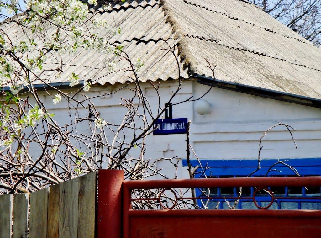 Гудзівка з panoramio.com - Гудзовка