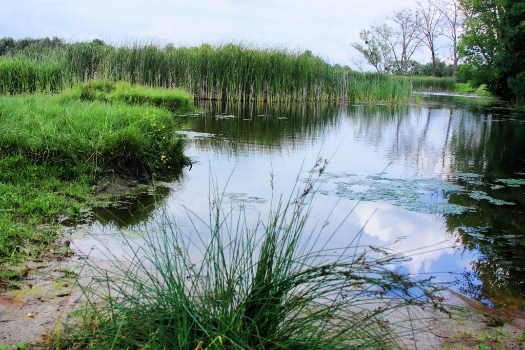Соколівка з panoramio.com - Соколовка