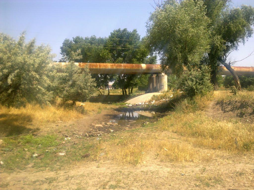 Степанівка з panoramio.com - Степанівка