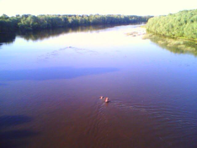 Остер з panoramio.com - Остер