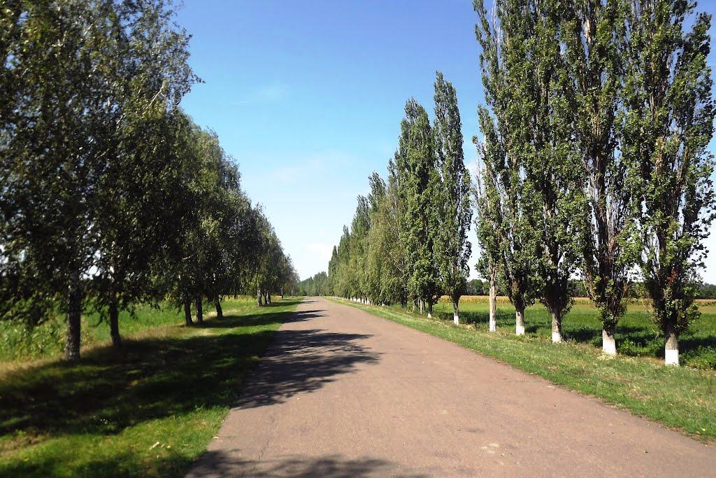 Йосипівка з panoramio.com - Йосипівка