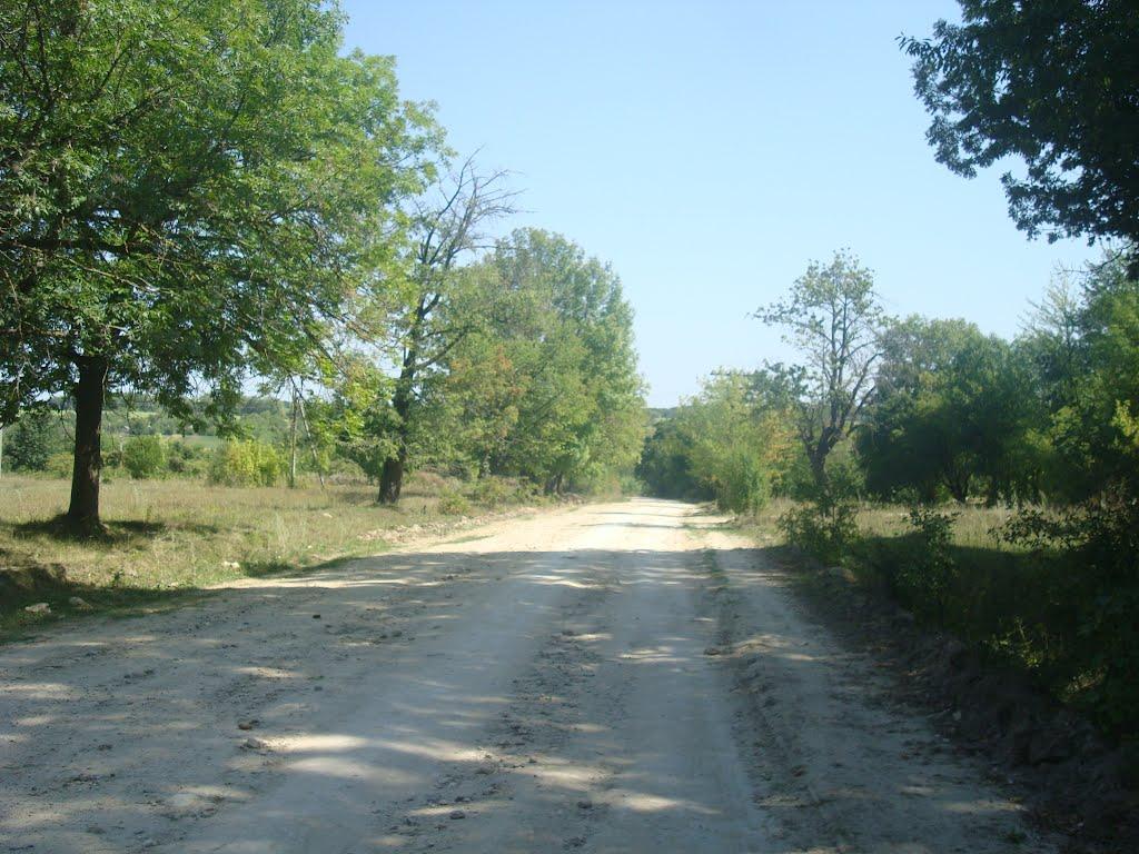 Ставчани з panoramio.com - Ставчаны