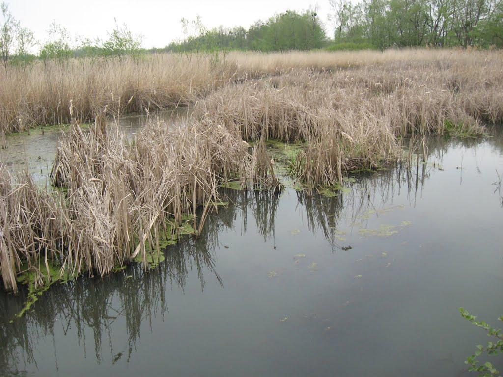 Ободівка з panoramio.com - Ободівка