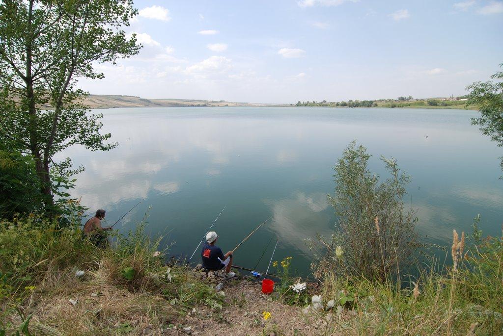 Суровцівка з panoramio.com - Surovtsivka