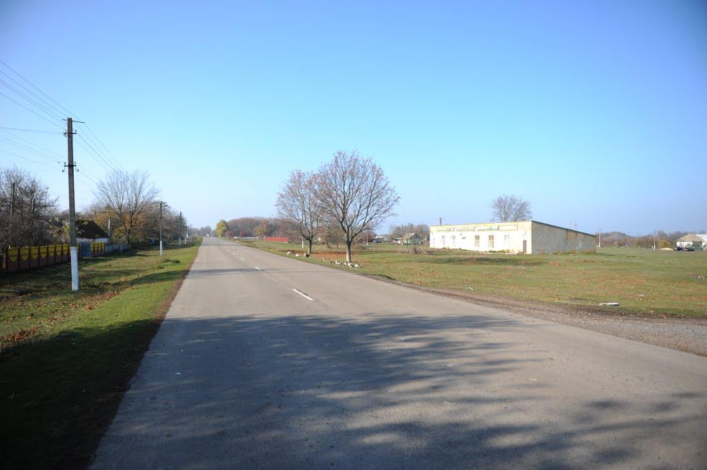 Нова Оржиця з panoramio.com - Новая Оржица