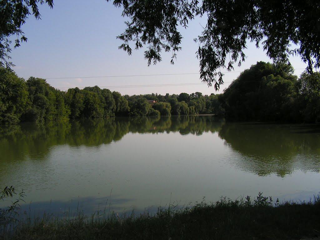 Гавришівка з panoramio.com - Гавришівка