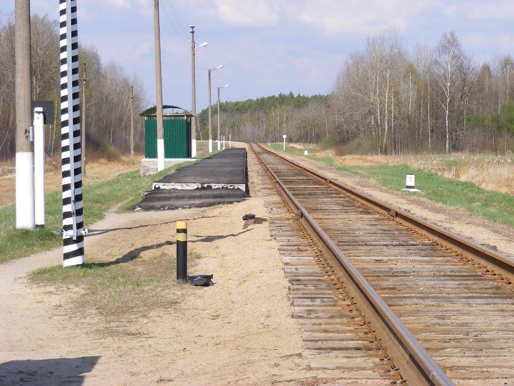 Хрипськ з panoramio.com - Хрипск