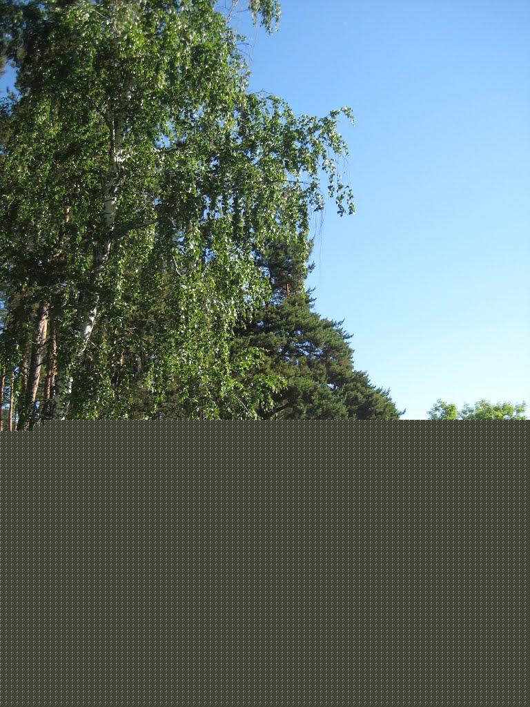 Прибережне з panoramio.com - Прибрежное