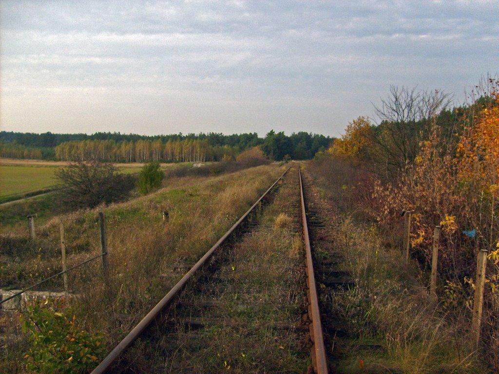 Новоугрузьке з panoramio.com - Новоугрузское