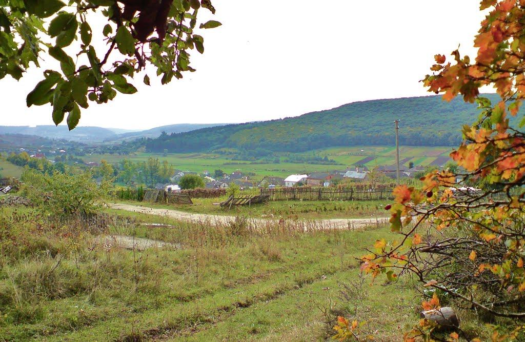 Рогачин з panoramio.com - Рогачин