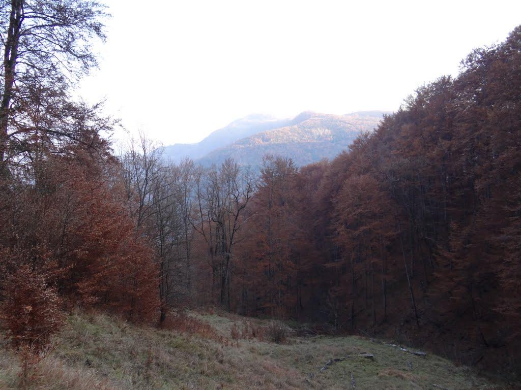 Хмелів з panoramio.com - Хмелів