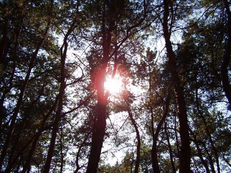 Ювілейне з panoramio.com - Юбилейное