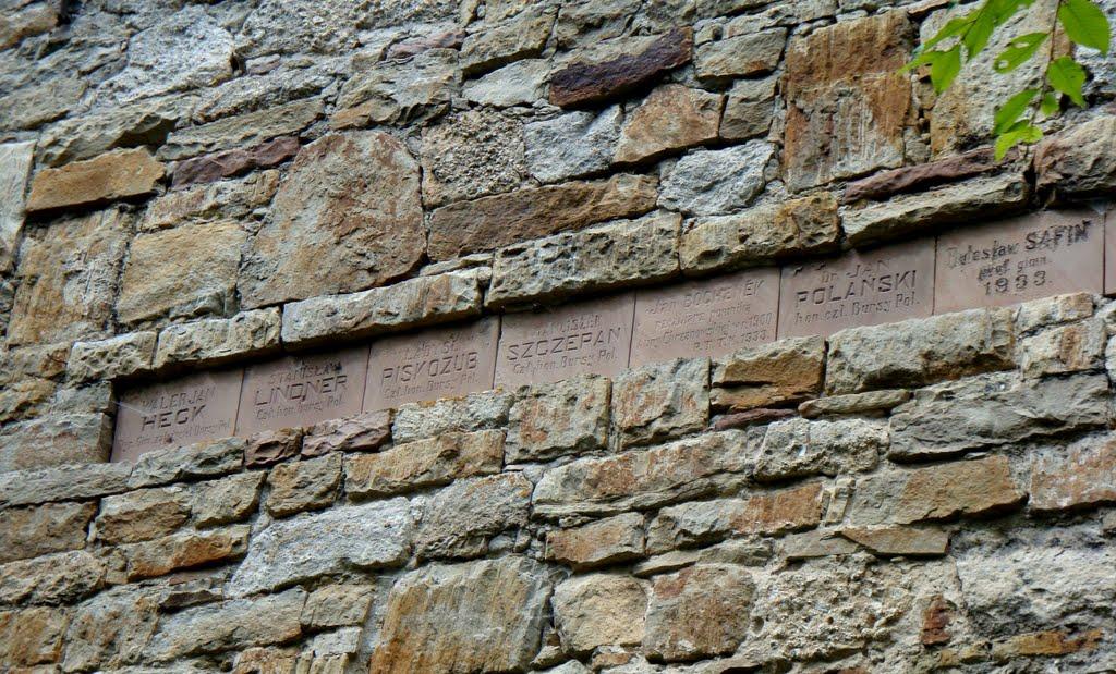 Теребовля з panoramio.com - Теребовля