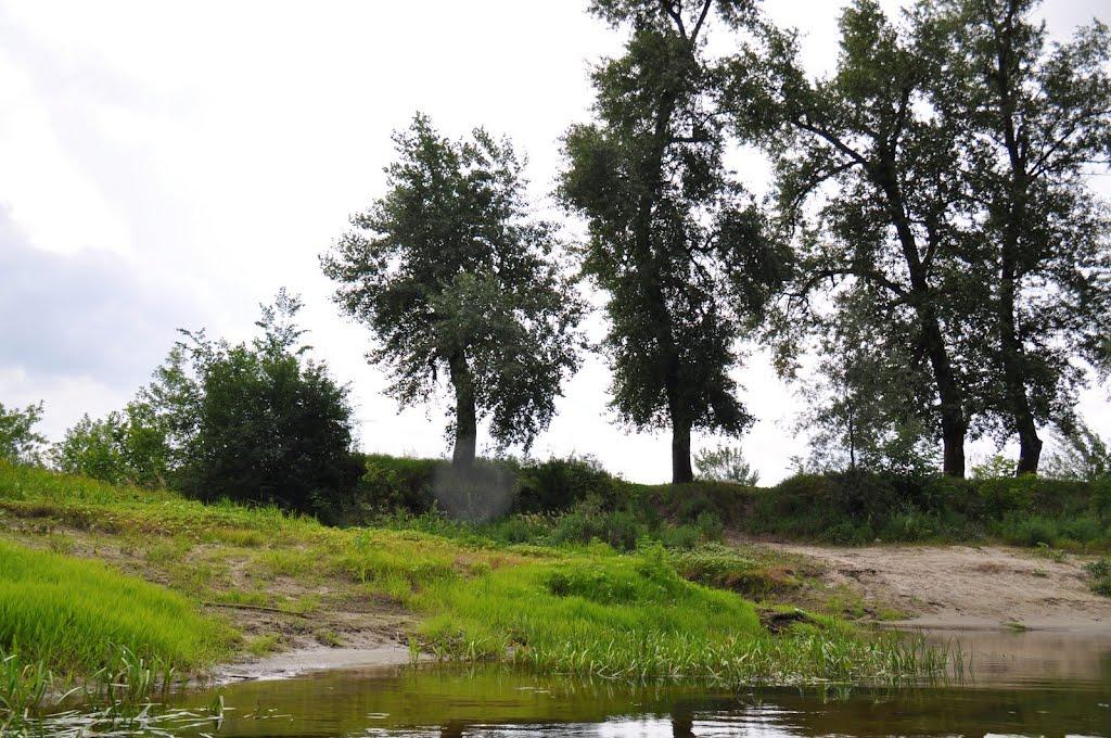 Лукищина з panoramio.com - Лукищина