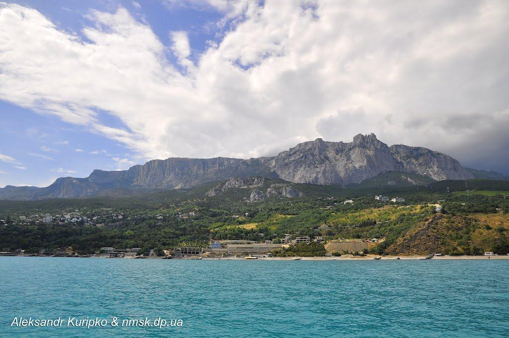 Олива з panoramio.com - Олива