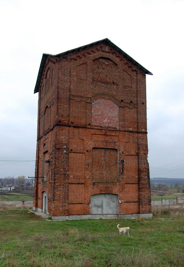 Парасковіївка з panoramio.com - Парасковіївка