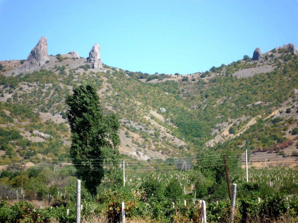 Долина з panoramio.com - Долина