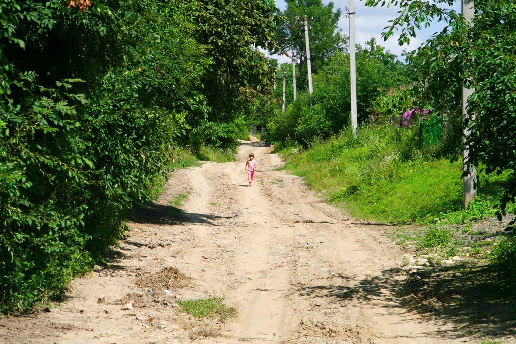 Богданівці з panoramio.com - Bogdanivtsi