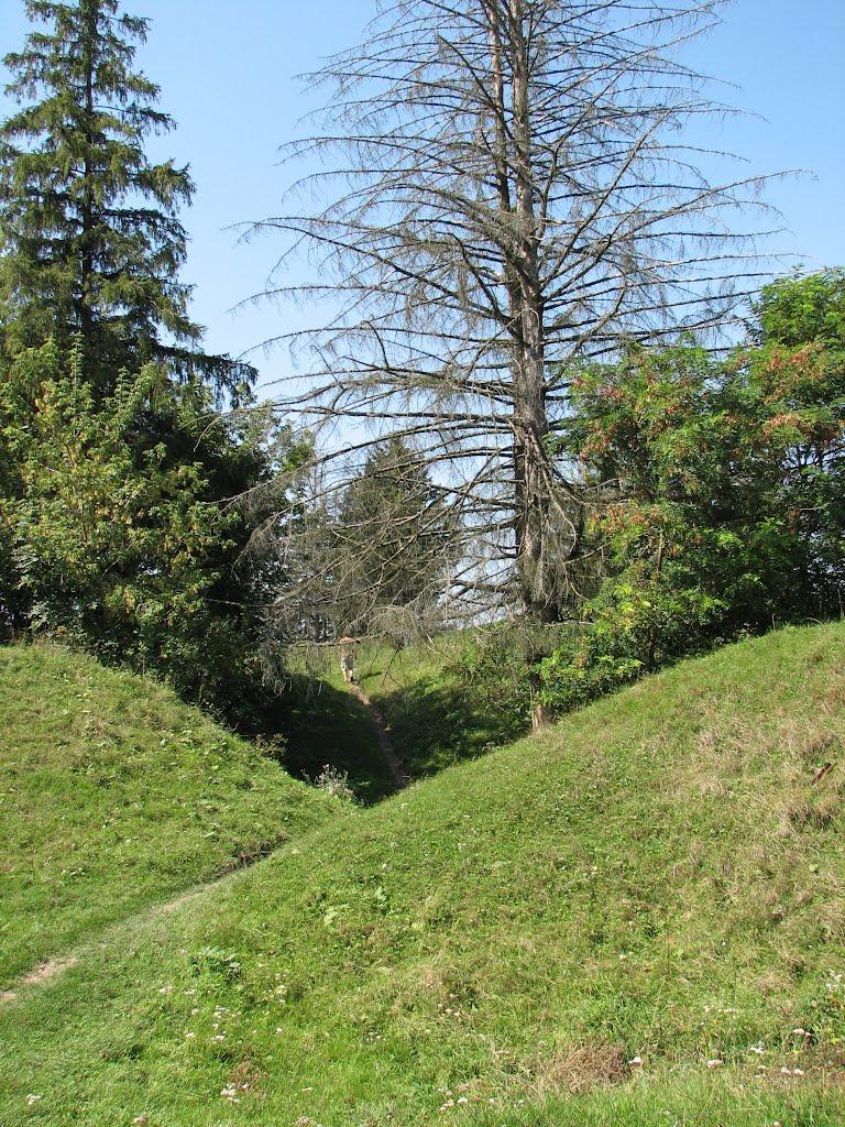 Губин з panoramio.com - Губин