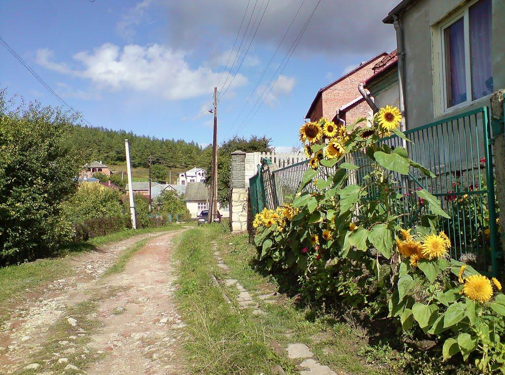 Бережани з panoramio.com - Бережаны