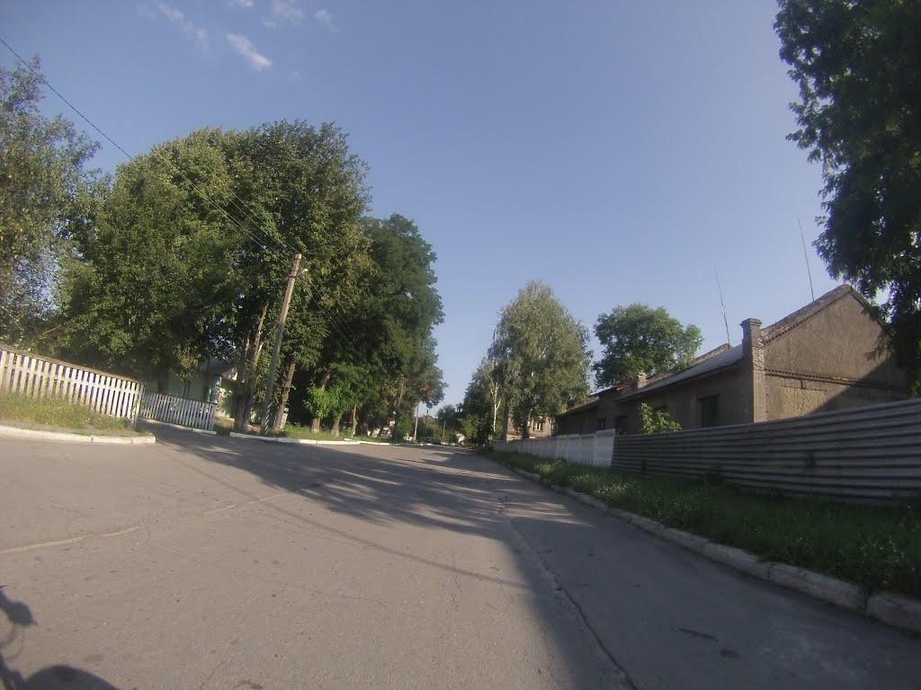 Чижівка з panoramio.com - Чижівка