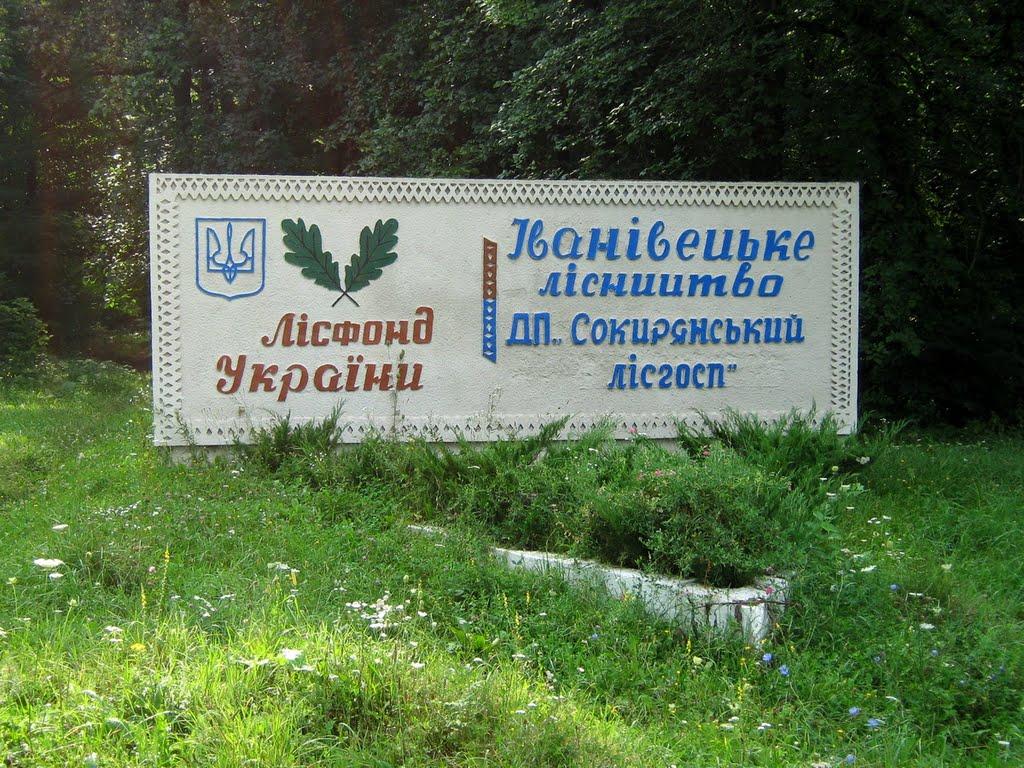 Іванівці з panoramio.com - Іванівці